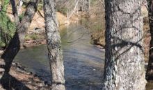 61 Quail Run Blue Ridge, GA 30513