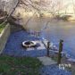 30 Holiday Ct, Ellijay, GA 30540 ID:15105837