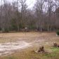 23188 Coates Road, Springfield, LA 70462 ID:15189944