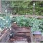 730 Montgomery Ave, Alpharetta, GA 30004 ID:15215929