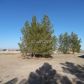 3750 South Ophir Avenue, Pahrump, NV 89048 ID:15215749