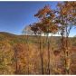 616 Chiefs Whitetails Rd, Ellijay, GA 30540 ID:15171287