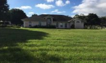 1315 Red Colt Ct Astor, FL 32102