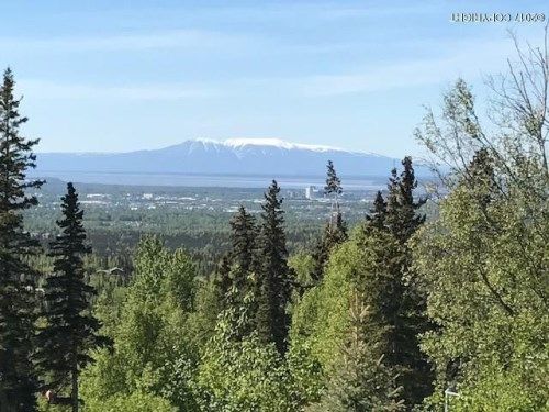 9900 McCready Circle, Anchorage, AK 99507