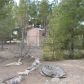 1420 South Happy Lane, Pahrump, NV 89048 ID:15095941