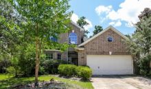 14542 Eastern Redbud Lane Houston, TX 77044