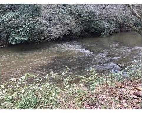295 Horseshoe Ln, Dahlonega, GA 30533