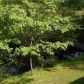 1220 Rucker Rd, Alpharetta, GA 30004 ID:15068458