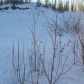 850 S Old Toby Road, Big Lake, AK 99652 ID:14955052