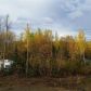 850 S Old Toby Road, Big Lake, AK 99652 ID:14955059