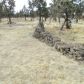 62700 Todd Road, Bend, OR 97701 ID:15210282