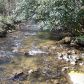 887 Suches Creek Rd, Suches, GA 30572 ID:15143541
