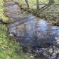 887 Suches Creek Rd, Suches, GA 30572 ID:15143547