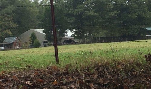 936 Pierce Rd, Martin, TN 38237