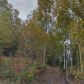 L9 No Road Splinter Addition, Big Lake, AK 99652 ID:14955295