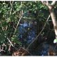 1535 Hill Crossing Ct, Grayson, GA 30017 ID:15120084