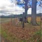 308 Lindsey Chapel Rd, Cedartown, GA 30125 ID:15160583