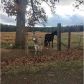 308 Lindsey Chapel Rd, Cedartown, GA 30125 ID:15160584