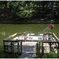 8145 Stone Hill Rd, Cumming, GA 30028 ID:15218018