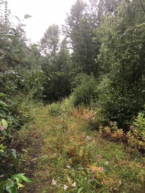 120 Jelinek Place, Anchorage, AK 99504