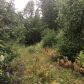 120 Jelinek Place, Anchorage, AK 99504 ID:14879184
