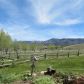 7229 North Duck Creek Highway, Mc Gill, NV 89318 ID:15076338