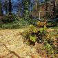 2017 Kenwood Place SE, Smyrna, GA 30082 ID:15109388
