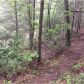 455 Crestview Ln, Cherrylog, GA 30522 ID:15157296