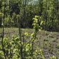 15696 W Henderson Road, Big Lake, AK 99652 ID:14898464