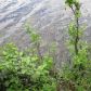 Lot 8 N Mountion Pass Circle, Big Lake, AK 99652 ID:14898544