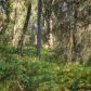 Lot 8 N Mountion Pass Circle, Big Lake, AK 99652 ID:14955149