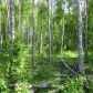 Lot 2 W Necrason Drive, Big Lake, AK 99652 ID:14898541