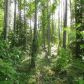 Lot 2 W Necrason Drive, Big Lake, AK 99652 ID:14955123