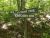 LOT 22 CASCADE LANE Todd, NC 28684