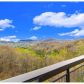31 Lovers Ln, Dillard, GA 30537 ID:15155781