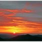 425 Song Bird Dr, Cleveland, GA 30528 ID:15154785