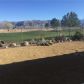 5394 East Cansano, Pahrump, NV 89061 ID:15092182