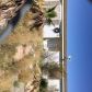 3881 North Dennis, Pahrump, NV 89060 ID:15093006