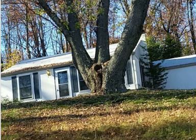 300 Meiers Ln, Califon, NJ 07830