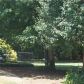 1535 Waston Ridge Trail, Lawrenceville, GA 30045 ID:14505254