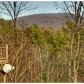 5 Ovaline Trace, Ellijay, GA 30536 ID:15155416