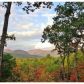 1670 Turners Corner Rd. N, Cleveland, GA 30528 ID:15152044
