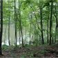 347 Pointe Willow Dr, Cleveland, GA 30528 ID:15156161