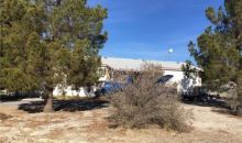 1980 West Wilson Pahrump, NV 89048