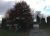 8039 Capri Cir Clay, NY 13041
