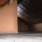 15834 Belden, Detroit, MI 48238 ID:15298588