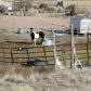 2918 Frehner Ranch Rd, Pioche, NV 89043 ID:15305326