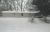 2954 W Tonawanda Tr New Era, MI 49446