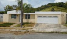 7e Areca St Juncos, PR 00777