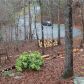 668 Gold Cove Dr, Dahlonega, GA 30533 ID:15412576